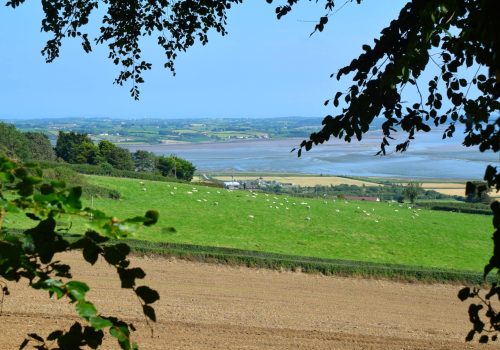 Strangford,Lough,And,The,Ards,Peninsula,From,Scrabo,Country,Park,